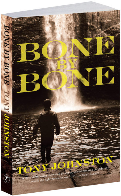 Bone by bone tony johnston essay 04 image