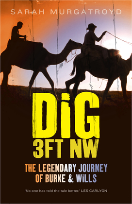 Dig 3ft NW