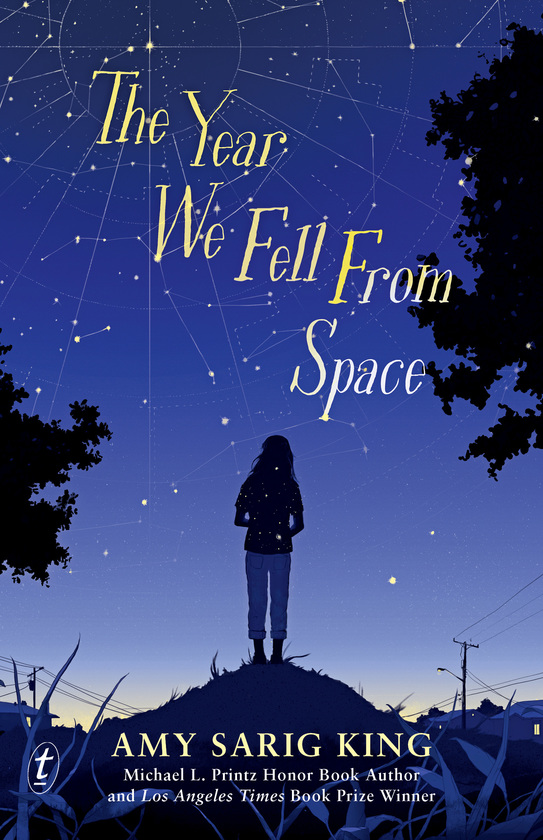 The Year We Fell from Space