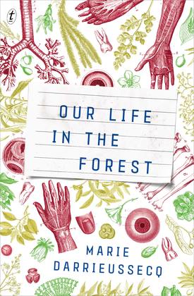 Our Life in the Forest