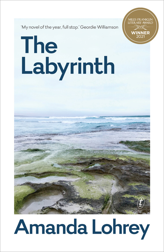 The Labyrinth: Winner of the 2021 Miles Franklin Literary Award