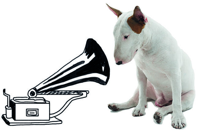 A Dog Named Jimmy with Gramophone