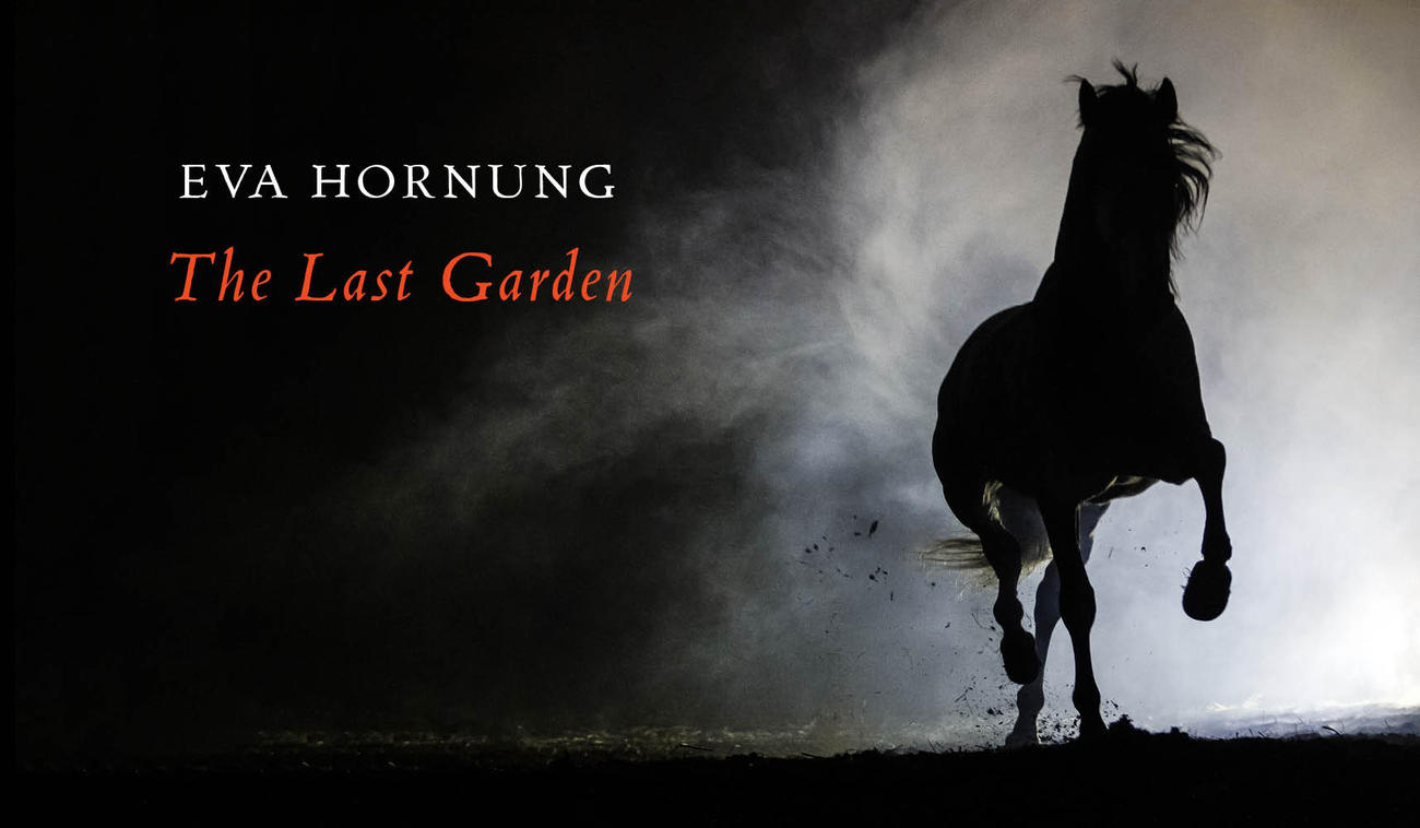 Cover of The Last Garden by Eva Hornung